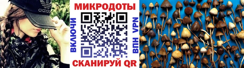 Галлюциногенные грибы Psilocybine cubensis  KRAKEN   Аша 