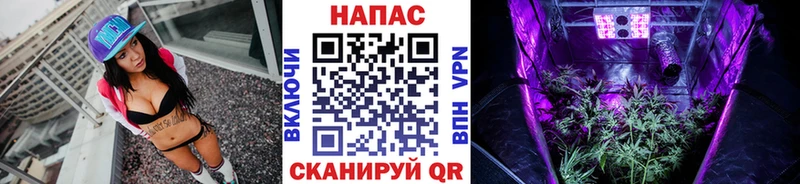Канабис гибрид Аша